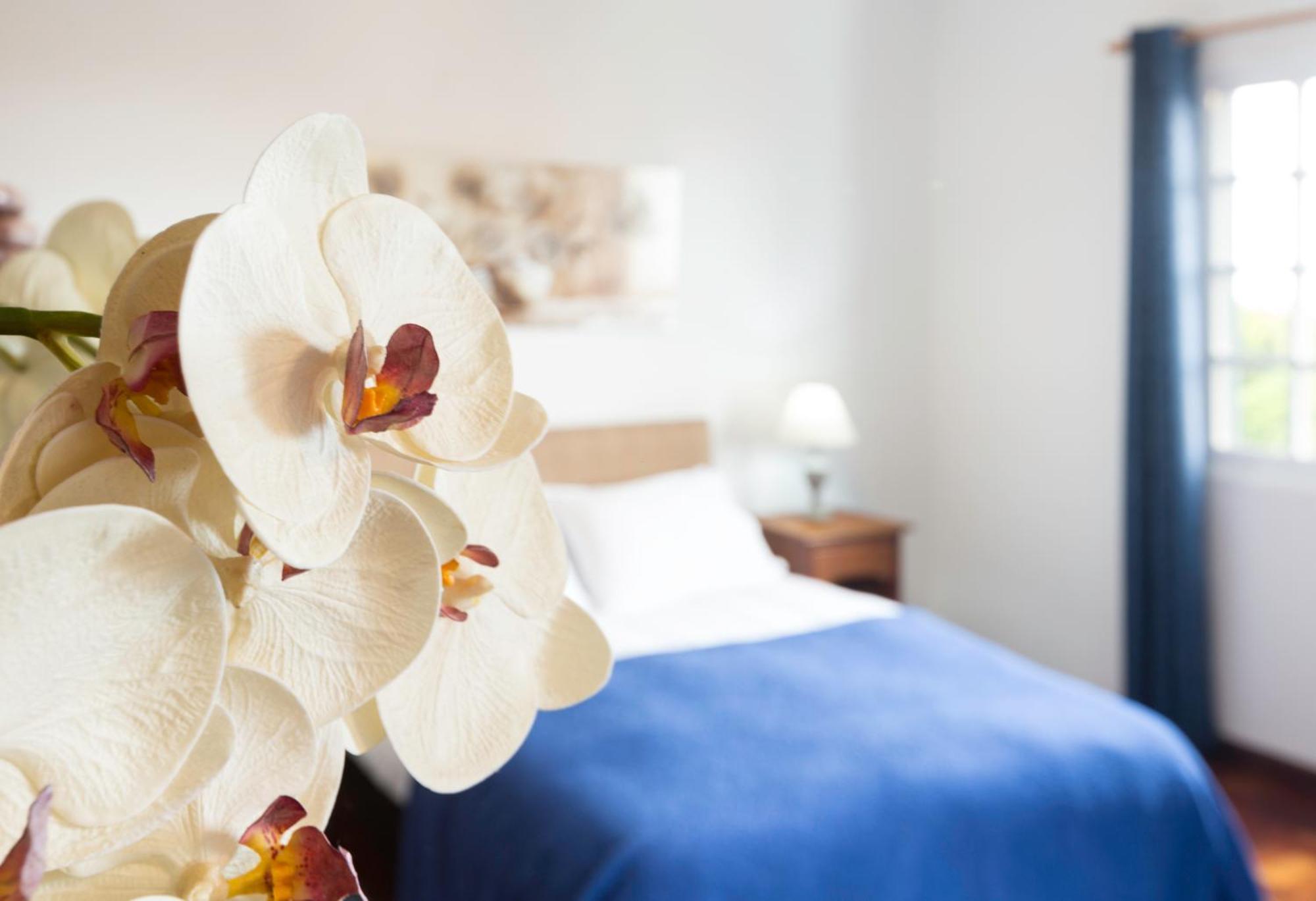 Charming Apartments In Funchal - Sao Goncalo Bilik gambar